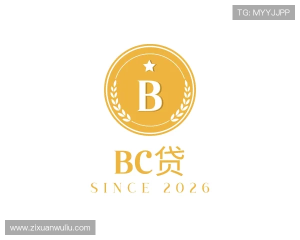了解bc贷